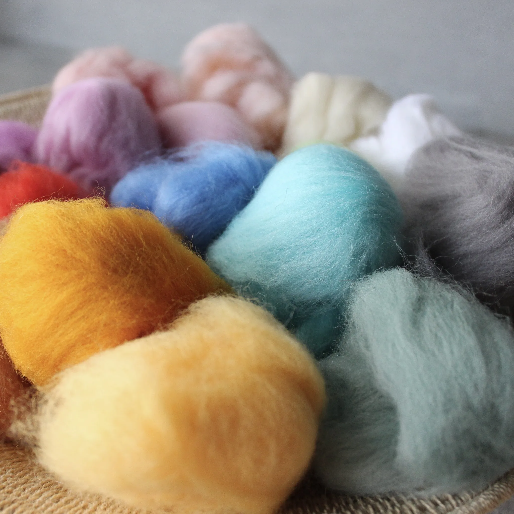 Coloured Wool Fleece Roving