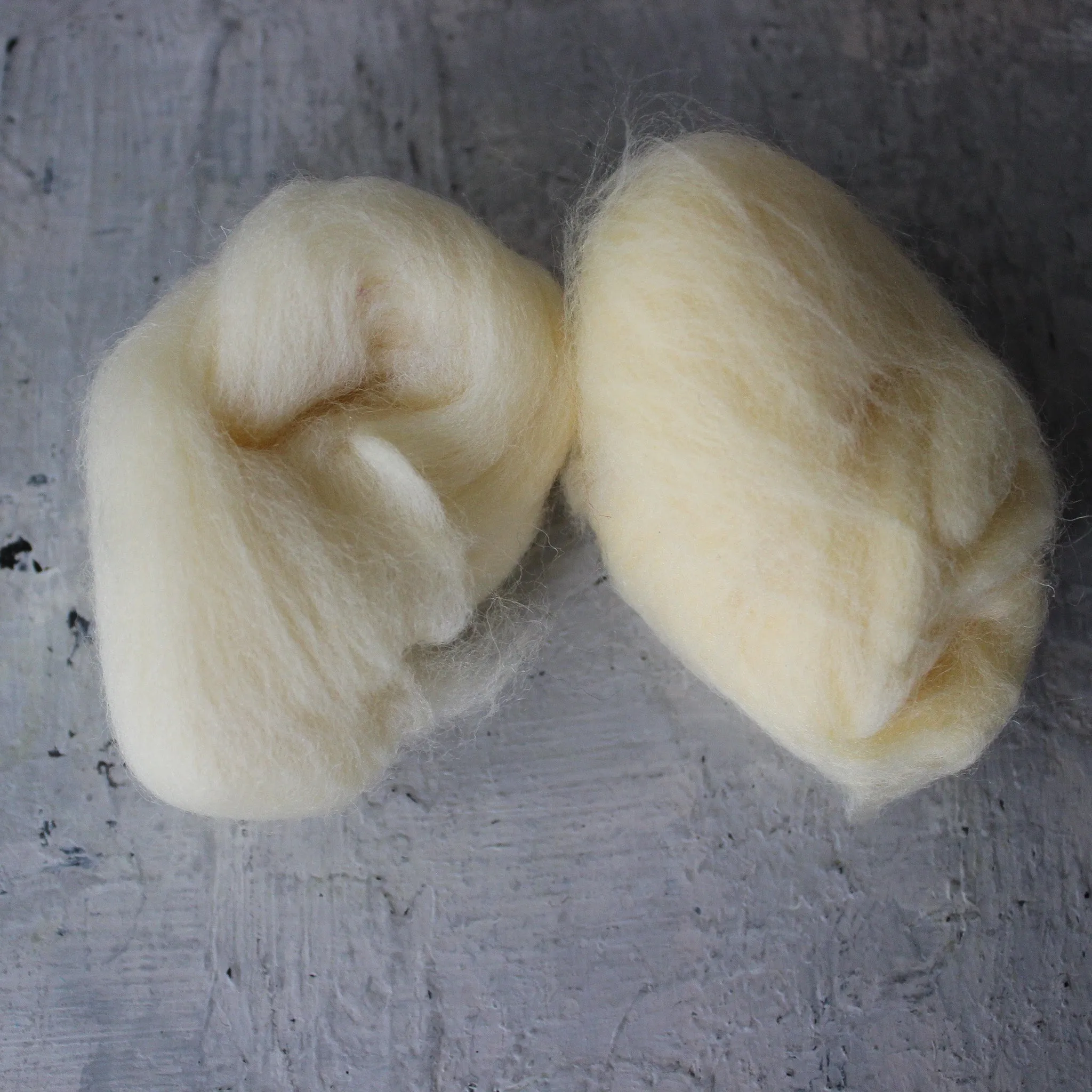 Coloured Wool Fleece Roving